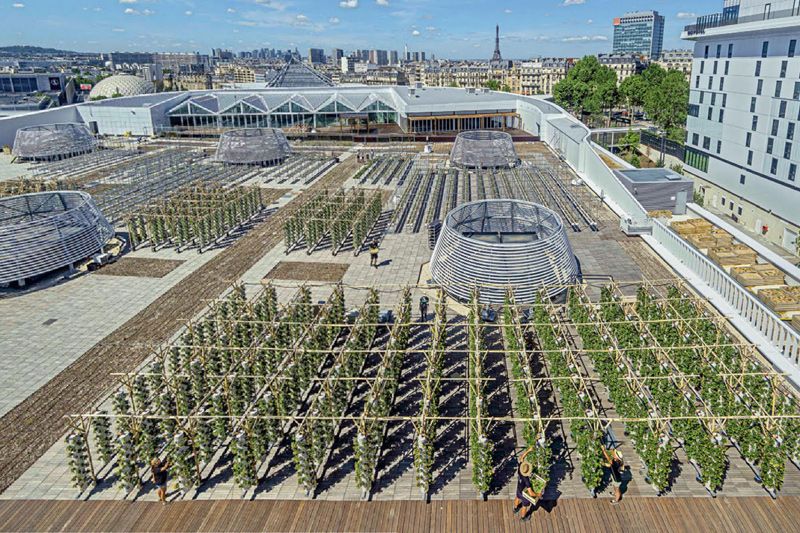 La plus grande ferme urbaine en Europe sera sur un toit de Paris