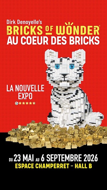 BricksOfWonder_1080x1920 6 sept.jpg