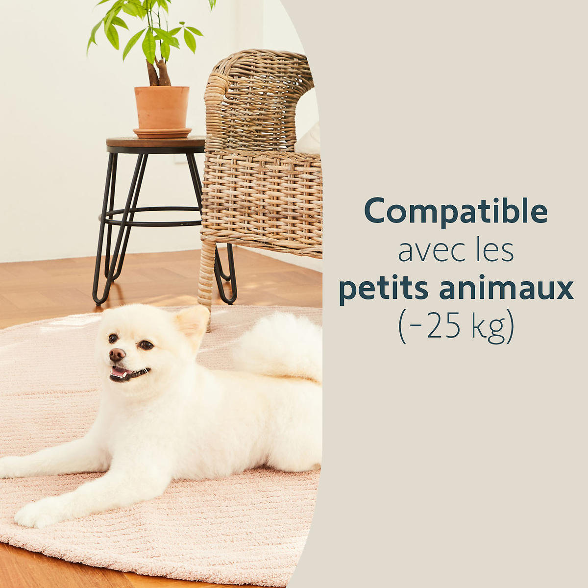 Compatible animaux domestiques